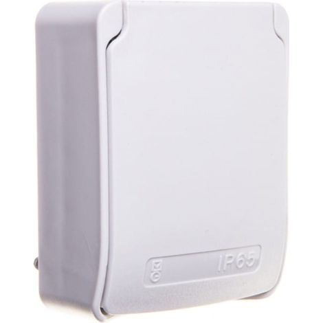Kaedra Steckdose 200/250V 10/16A 2P IP65 81140