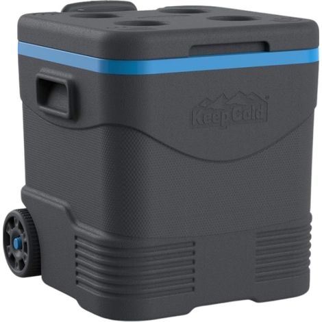 Ghiacciaia su Ruote Trolley Icebox Grigio e Blu 45L