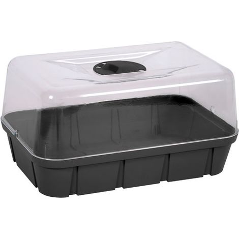 EDA – Mini serre gris anthracite 38x25,5x19 cm – Capacité 5,7 L – Pour semis et jeunes plants – Environnement contrôlé