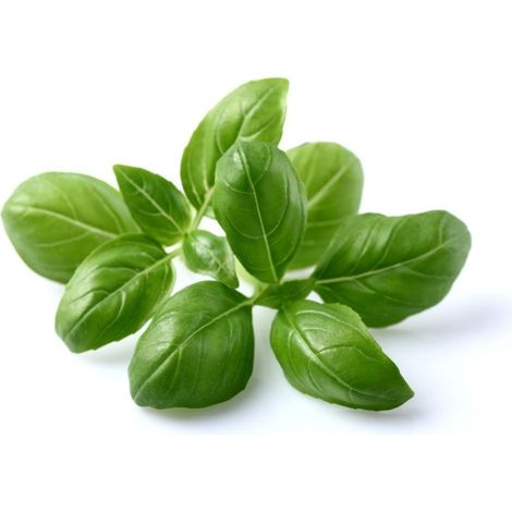 Click and Grow - Smart Garden Refill 3-pack - Basil (SGR3X3)