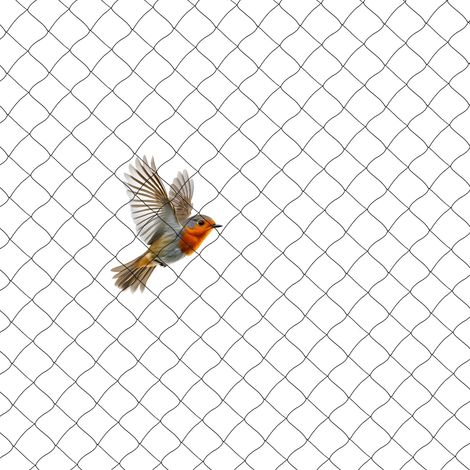 Barrière aviaire de volaille anti-filet d'oiseau de filet de jardin de 30 15 m pour protéger les plantes de légumes et les arbres fruitiers (maille de 5 cm, noir) (1/5)