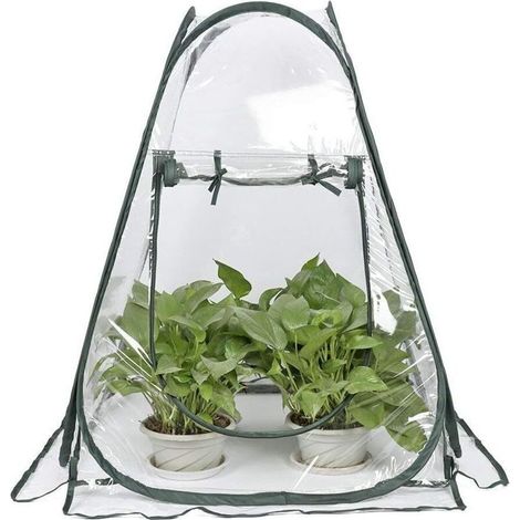 Mini-Pop-Up-Gewächshaus – Kleines Winterzelt für Pflanzen – Blumentopf – Mini-Gewächshaus – Winterschutz für Pflanzen (70 x 70 x 80 cm) (1/4)