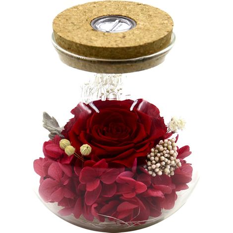 Des roses fraîches et une bouteille à vœux illuminée de couleurs vives : un cadeau de Noël pour les femmes. (1/5)