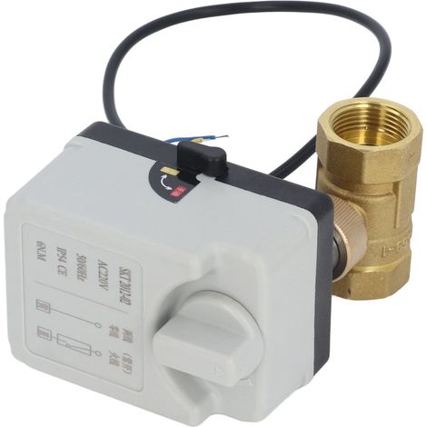Vanne motorisée 2 fils 2 voies automatique manuelle normalement ouverte DN20 AC220V pour régulation (1/5)