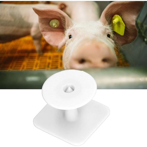 100 jeux/vendeur d'étiquettes d'oreille de porc ordinaires et simples, étiquettes d'oreille de porc carrées, étiquettes d'oreille de porc vétérinaires blanches (1/5)