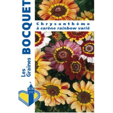 Chrysanthème 'Rainbow' en mélange le sachet de 300 graines (1g) (1/2)