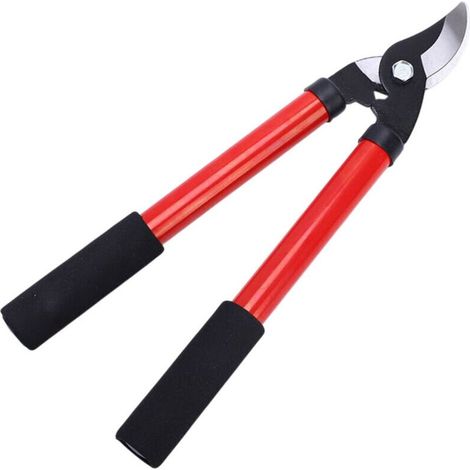 Cisailles Renforcées pour Branches d'Arbres Fruitiers - Outil de Jardinage Indispensable