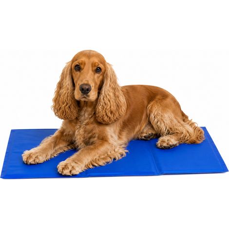 lionto Kühlmatte, angenehme Abkühlung für Hunde & Katzen, selbstkühlend & sicher, ideal für Sommer & Reisen, 100x60 cm, blau