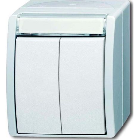 Busch-Jaeger Doppeltaster 2 Schliesser 2621 WN-54-205-101 (1/5)