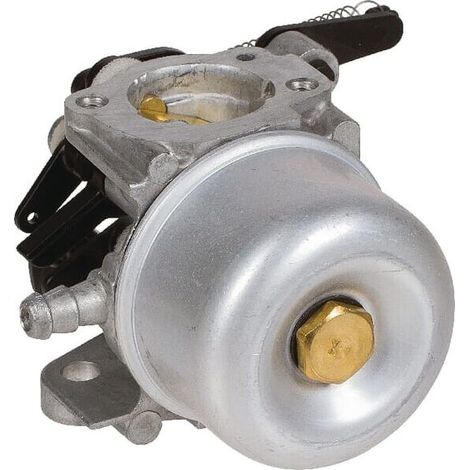Carburador 796608 (1/4)