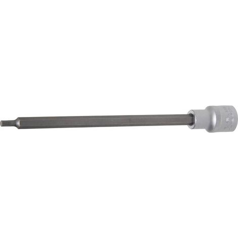 Douille à Embouts 200 mm - 12,5 mm (1/2), Denture Multiple Intérieure XZN - Précision et Robustesse - D-Work (1/5)
