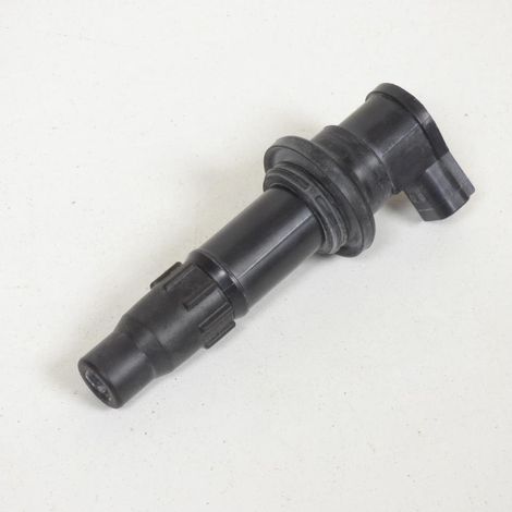 Bobine d'allumage HT Denso pour Moto Yamaha 450 YZF 2004 à 2009 (1/3)