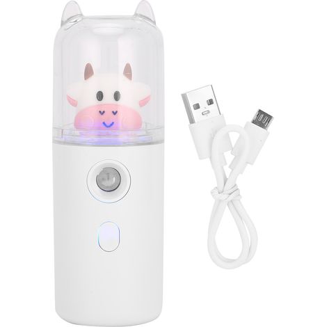 Brume faciale hydratante 30 ml, vaporisateur portatif rechargeable par USB, brumisateur pour le visage. (1/5)