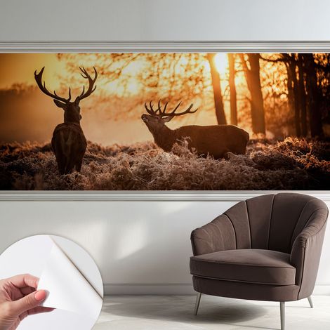 Carta da parati adesiva - fotomurale - facile da applicare - per la soggiorno - camera da letto - Cervi al mattino 250x104 cm (1/5)
