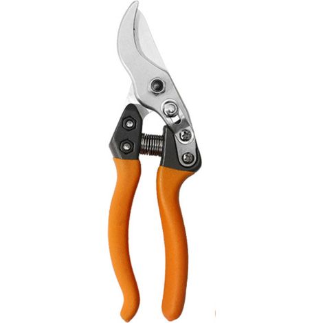 Professionelle Gartenschere für dicke Obstbaumäste