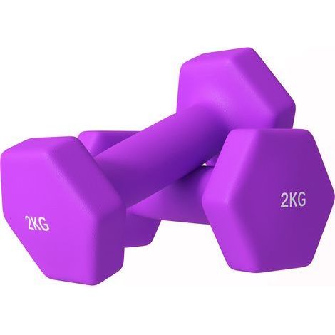 Pack 2 Haltères Hexagonales 2x2 kg Antidérapantes pour Domicile et Salle de Sport, Métal et Plastique, 16x7.5x7.5 cm, Violet (1/5)