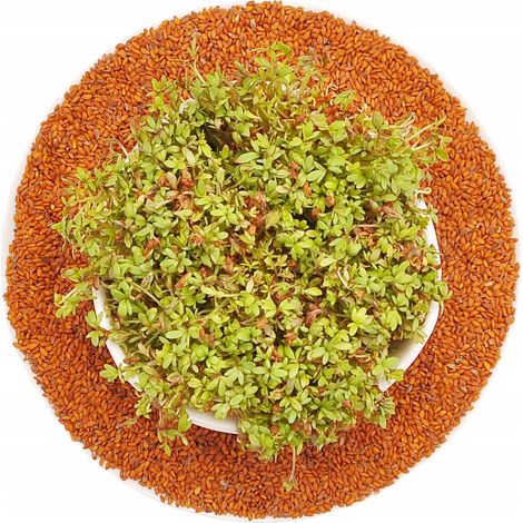 Crescione - semi per germogliatore - 500 g (1/5)