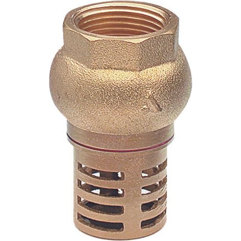 Ventil mit Ansaugventil PN10 1"1/2