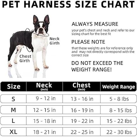 Harnais anti-traction pour chien – Harnais réglable avec 2 clips pour laisse, harnais rembourré ultra confortable, harnais et laisse réfléchissants pour chiens de petite et moyenne taille (1/4)