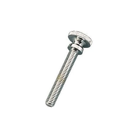 Vis métaux tête moletée laiton chromé, diamètre 6 mm, longueur 40 mm, sachet de 10 vis - FAUQUET