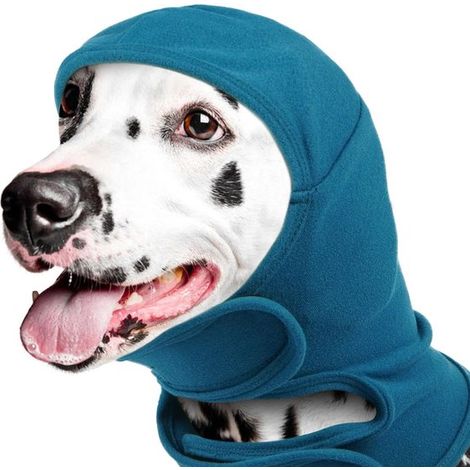 Orejeras para perros,Orejeras para Cocker Spaniels,Alivian la ansiedad,Aislamiento acústico y protección,Circunferencia del cuello de 40 cm,Gris (1/5)