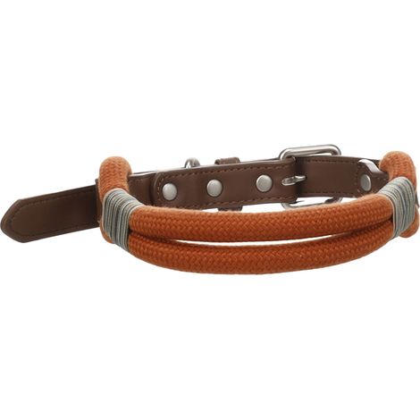 Chien Collier Athos Cognac L 45-55cm 20mm (1/4)