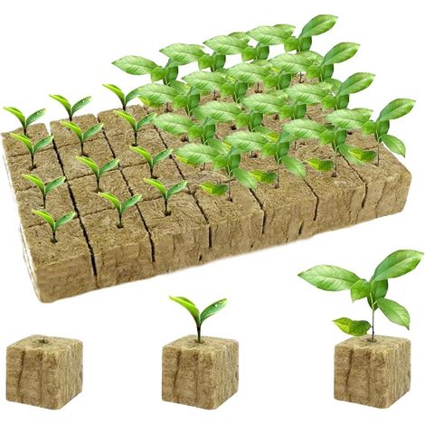 50 pièces Cube de Laine de Roche, 2,5 x 2,5 x 2,5 cm de Laine hydroponie, Laine de Roche Blocs pour Germination et bouturage, Cubes de Culture soilless, Idéal pour Jardins intérieurs et extérieurs (1/5)