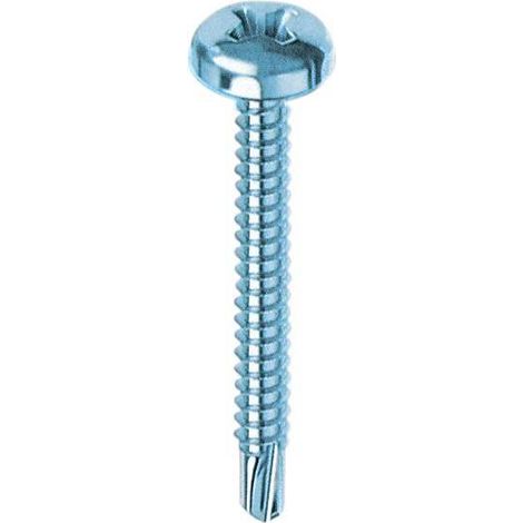 50 vis autoperceuses cross TC TA te cylindrique en acier 4,2x19 mm