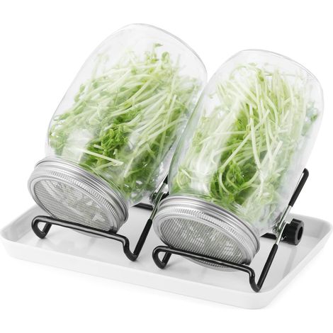 Sprossenglas Set2er-Set 1000ml Keimglas mit Deckeln und Haltern und SchalenSprossengläser für die Sprossenzucht und Keimung von Samen (1/5)