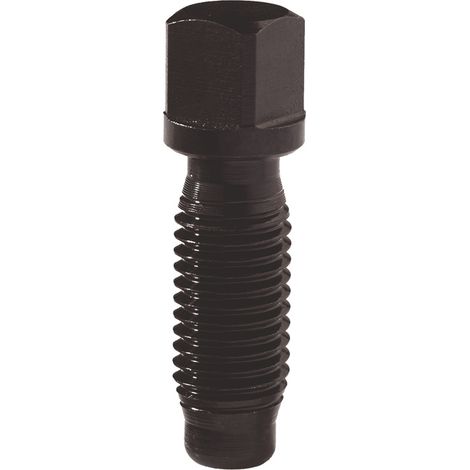 TECWERK Spannschraube Größe=A M7 L.21mm 4-KT.8mm z.Wechselhalter TECWERK