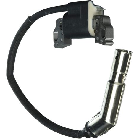 Brigg & Stratton Bobina elettronica 21, 31, 33 (1/3)