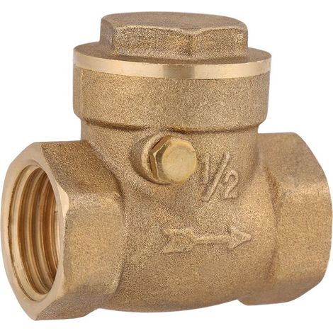 Clapet anti-retour à battant en laiton, filetage femelle DN15, 232 PSI, empêchant le refoulement d'eau.