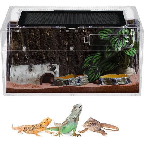 Terrariums pour Reptiles, 30x 18 x 15cm Boîte d'élevage en Acrylique Grande Taille, Habitat Portable pour Reptiles et Amphibiens pour Petits Reptiles Insectes Geckos grillons (1/5)