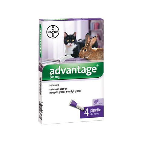 Advantage spot-on pour chats de plus de 4 kg – 4 pipettes – Protection antiparasitaire prolongée