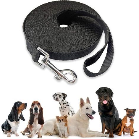 Correa para perros de 20 m x 2 cm, Impermeable, Con correa para la muñeca y mosquetón giratorio de 360°, Correa larga, Correa robusta, Negra (1/5)