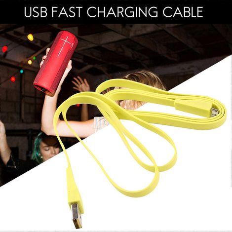 Câble de charge rapide USB avec adaptateur pour UE BOOM 2-- (1/5)