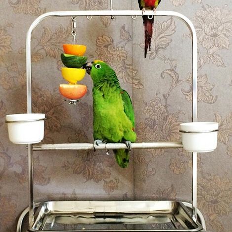 Fourchette à fruits et légumes en acier inoxydable pour perroquets – Petite taille (12 cm) – Convient pour le maïs, les pommes, etc. – Jouet d'alimentation et de recherche de nourriture pour oiseaux (1/3)
