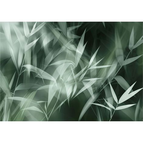 Papier peint intissé feuilles vertes sur fond noir, résistant à l'abrasion – 150 x 105 cm Wallarena (1/4)
