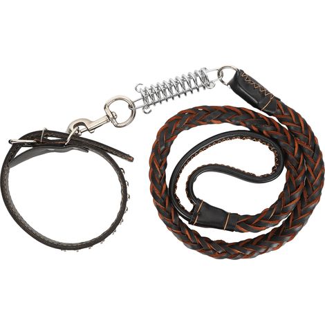 Hundeleine mit Anti-Verlust-Halsband für große und mittelgroße Hunde (schwarz) (1/5)