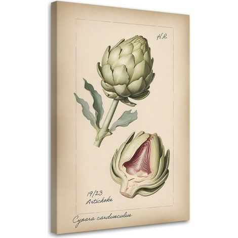 Tableau sur toile Tableau sur toile Légumes Vintage Artichaut 40x60 (1/5)