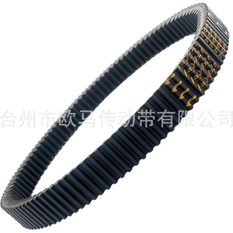 SKI DOO Schneemobilriemen 422280655 417300571 Schneemobil 417300166 (1/4)