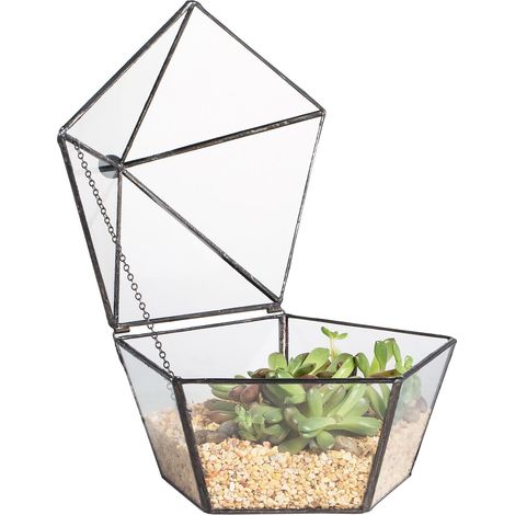 Terrarium - Verre Transparent - Couvercle À Charnière - Pour Succulentes Et Plantes Tropicales - Intérieur Extérieur - 1 Pièce (1/5)