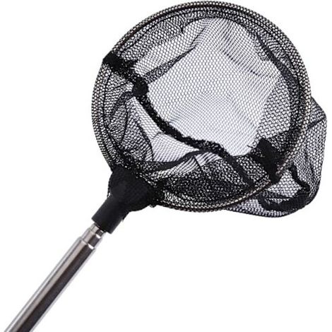 Accessoires pour aquarium : épuisette, mini-épuisette télescopique réglable pour crevettes (1/5)