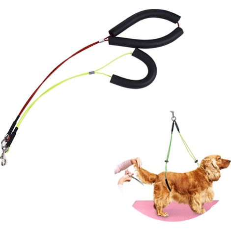 Filiyano-Table de toilettage générique pour chiens, laisse de toilettage en corde pour chiens, cou et jarret (1/3)