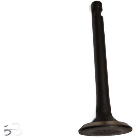 Valvula Entrada para cortacesped compatible con Dlm4300Sp