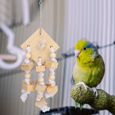 Balançoire suspendue en bois naturel pour perroquet, jouet à mâcher et à mordiller, accessoire de cage (1/5)