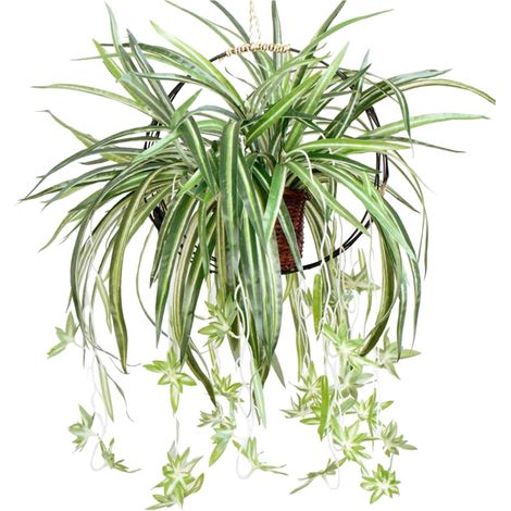 Guirlande Fleurie Artificielle - Vigne D Orchidée Séchée - Décoration Murale Extérieure Ou Intérieure - 30 X 10 X 2 Cm - 100 G (1/5)