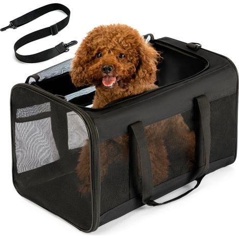 Dog Transport Bag - Soft Walled Carry Bag with 4-Sided Mesh for Small Dogs & Large Cats up to 9 kg, Foldable Travel Bag with Breathable Design in Size L - Black (1/5)