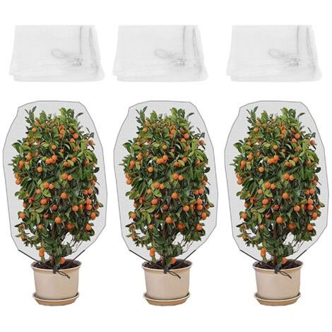 QORVA
-Lot de 3 Filets de Protection Anti-Insectes pour Jardin – Maille de Barrière pour Arbres, Plantes et Fleurs,de (1/5)