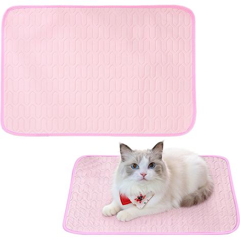 Tapis rafraîchissant pour animaux - 50 x 40 cm - Idéal pour le printemps et l'été - Tapis en latex effet soie glacée - Convient aux chiens et aux chats - Utilisable en cage, niche, panier et canapé -  (1/5)